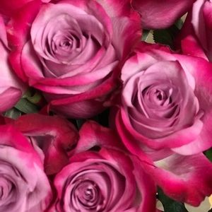 Meet your Posher, Ma